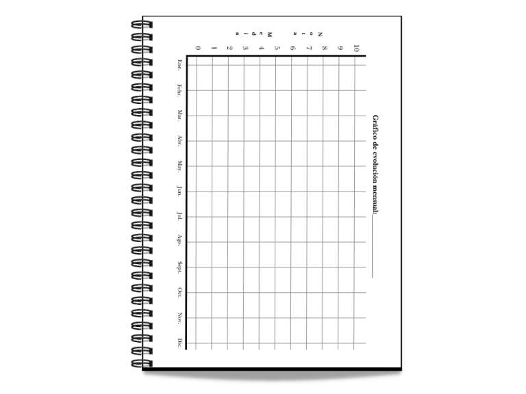 Grafico de evolucion agenda jr project